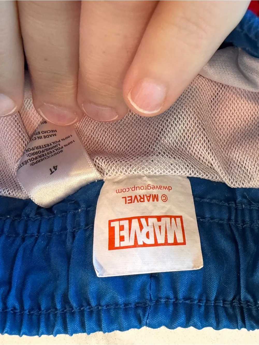 Boys Swim Bundle 2T to 4T - 5 items
